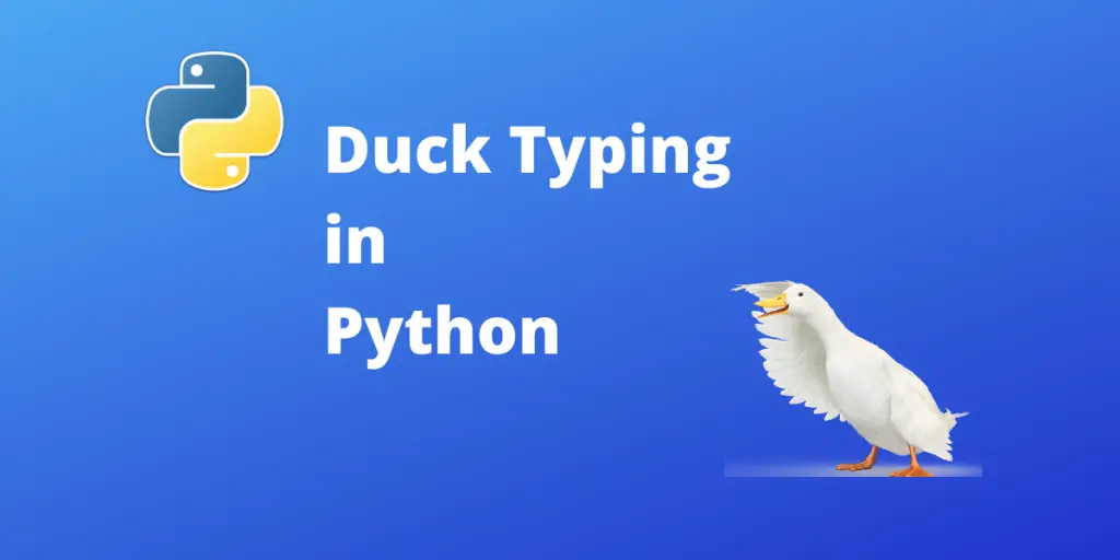 مفهوم Duck Typing در پایتون