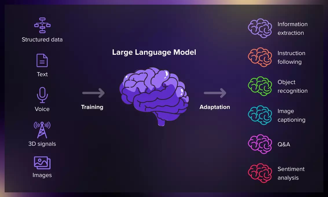 Anophel-آنوفل چگونه مدل های زبان بزرگ (Large Language Models) کار می کند؟